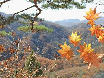 11月全球旅游狂欢季，最新旅游消息大放送！