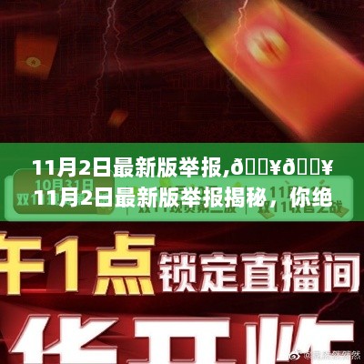 11月2日最新版举报揭秘，不容错过的热点资讯！