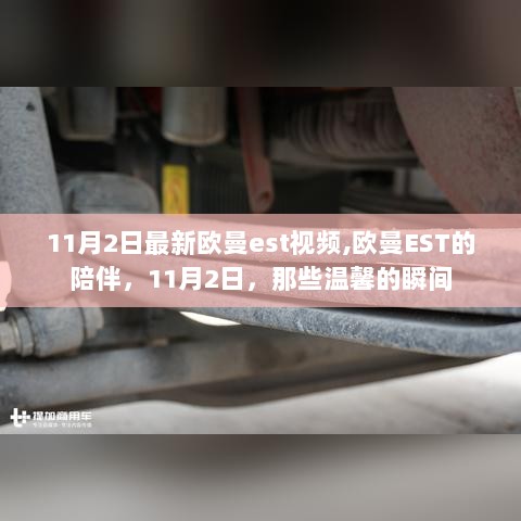 11月2日欧曼EST的陪伴，温馨瞬间记录