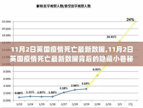 11月2日英国疫情死亡数据揭秘，小巷秘境中的特色小店独特魅力