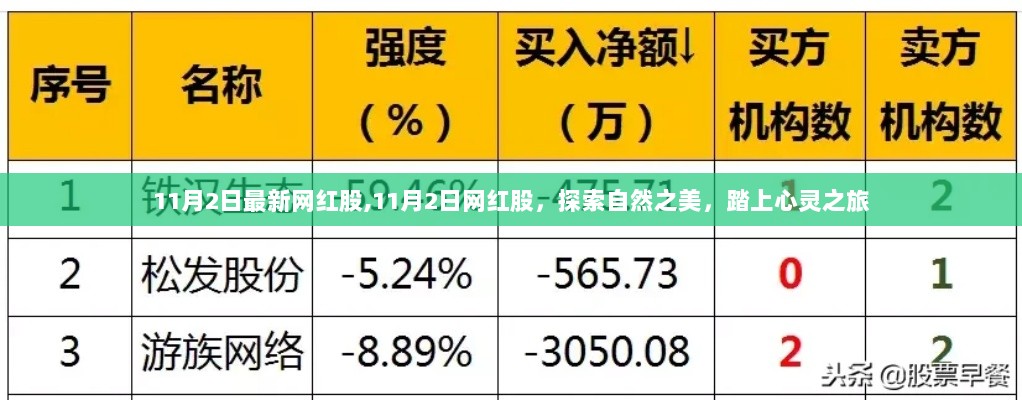 11月2日网红股，探索自然之美，心灵之旅的股票选择