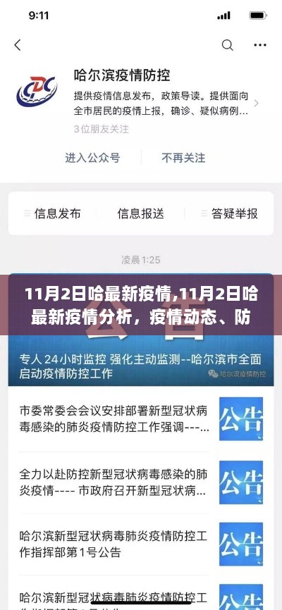 11月2日哈市最新疫情动态及防控措施公众应对指南