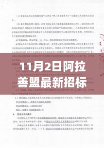 阿拉善盟11月2日新招标启事，共赴探索自然美景的心灵之旅