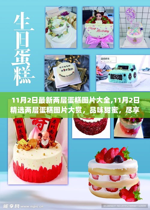 11月2日精选两层蛋糕图片大赏，品味甜蜜，视觉盛宴