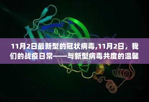 11月2日，战疫日常下的温馨时光——新型病毒共度时刻