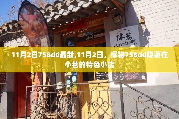 探秘758dd小巷隐藏特色小店的新鲜体验