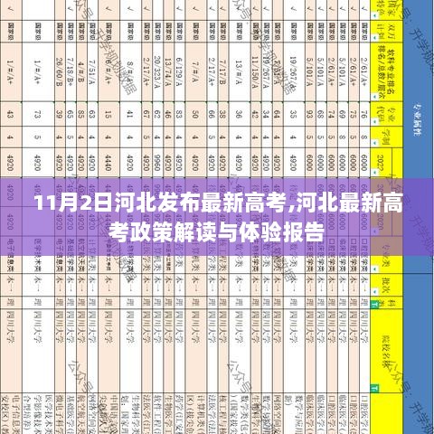 河北最新高考政策解读与体验报告，11月2日政策发布后的观察