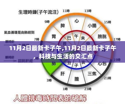 11月2日科技与生活交汇的最新卡子午