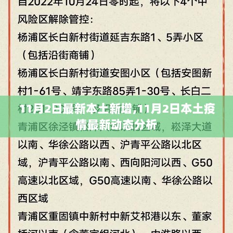 11月2日本土疫情最新动态分析