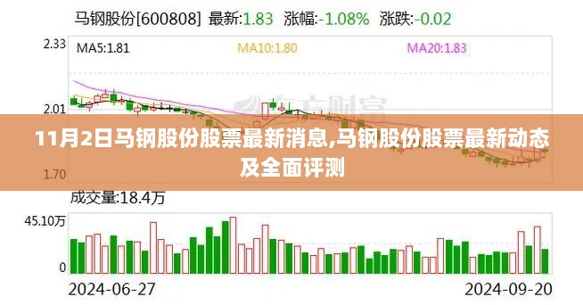 马钢股份股票最新动态及全面评测（11月2日最新消息）