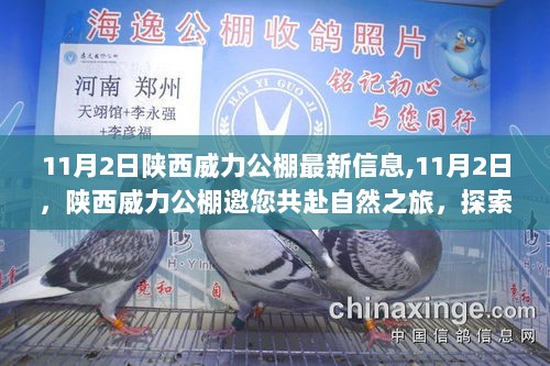 陕西威力公棚，11月2日邀您共探自然之旅，寻找心灵平静的秘密