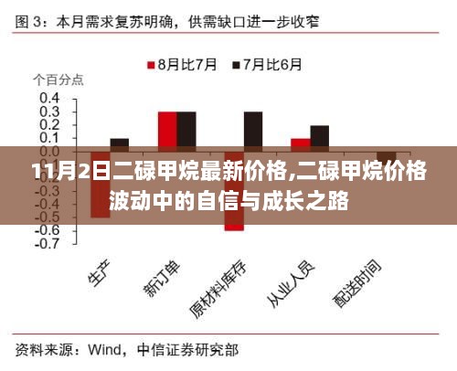 二碌甲烷价格波动中的自信与成长之路