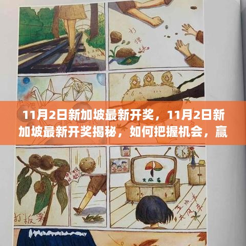 新加坡11月2日开奖揭秘与赢奖策略