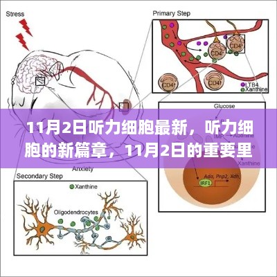 11月2日听力细胞新篇章，开启未来重要里程碑的全新篇章