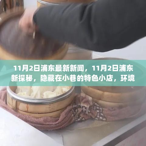 11月2日浦东新探秘，隐藏在小巷的特色小店，激发你的探索欲