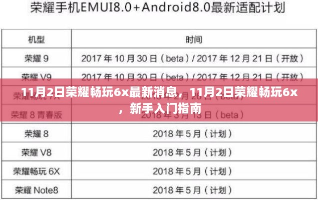 荣耀畅玩6x新手入门指南（11月2日最新消息）