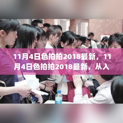 11月4日色拍拍2018最新，从入门到精通的全面指南