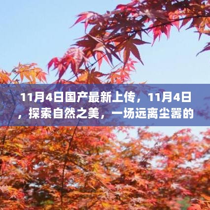 11月4日国产自然之旅盛宴，探索远离尘嚣的自然之美