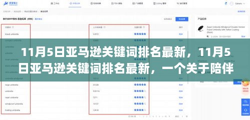 11月5日亚马逊关键词排名最新，陪伴与爱的温馨故事中的关键词排名追踪