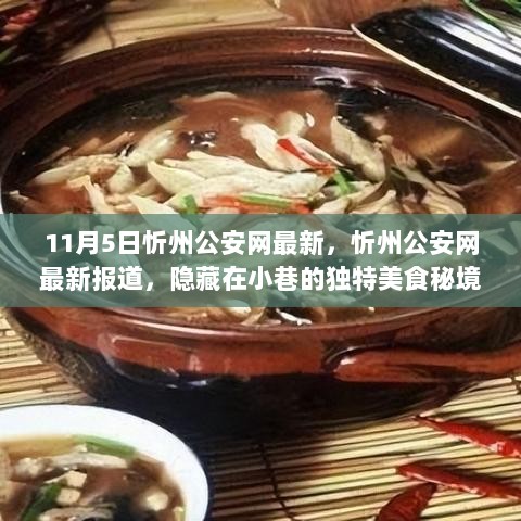 忻州公安网最新报道，隐藏在小巷的独特美食秘境探索之旅