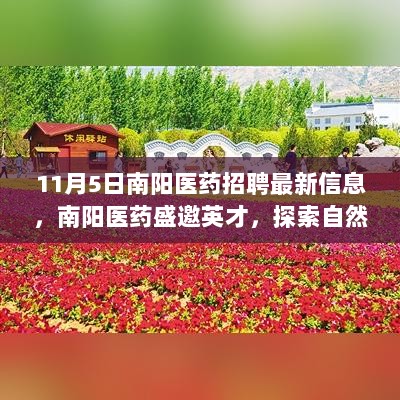 南阳医药11月5日招聘盛会，探寻内心力量，共筑医药未来