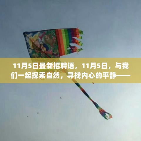 11月5日，探索自然之旅，寻找内心的平静——与你共启新征程的招聘活动