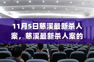 11月5日慈溪最新杀人案，详细解析与防范技能学习指南