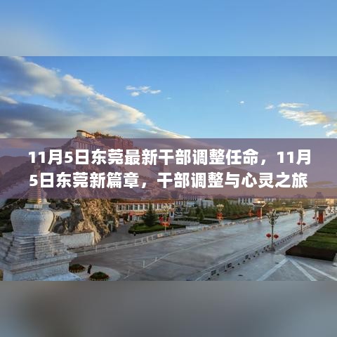 11月5日东莞干部调整与心灵之旅双重启程，新篇章的任命与变革