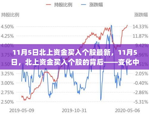 11月5日北上资金动向，增持个股的自信与市场成就