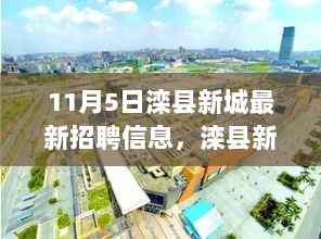 11月5日滦县新城招聘信息深度解读与思考，就业市场的动态与求职者的策略