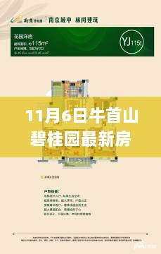 11月6日牛首山碧桂园智能房价新篇章开启，科技驱动的未来家园房价更新