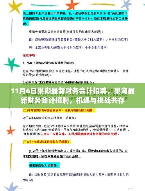 11月6日巢湖最新财务会计招聘，机遇与挑战并存，把握职业新机遇