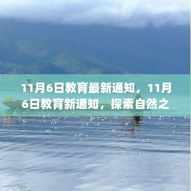 11月6日教育新通知，探索自然之美，开启心灵之旅的探索之旅