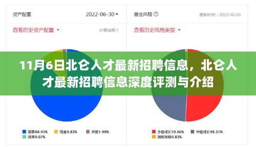 11月6日北仑人才最新招聘信息深度解析与评测