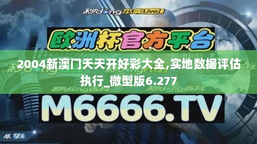 2004新澳门天天开好彩大全,实地数据评估执行_微型版6.277