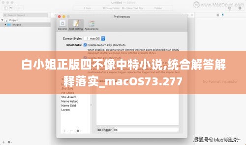 白小姐正版四不像中特小说,统合解答解释落实_macOS73.277