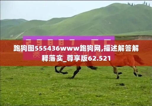 跑狗图555436www跑狗网,描述解答解释落实_尊享版62.521