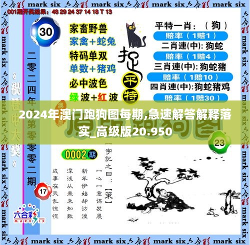 2024年澳门跑狗图每期,急速解答解释落实_高级版20.950