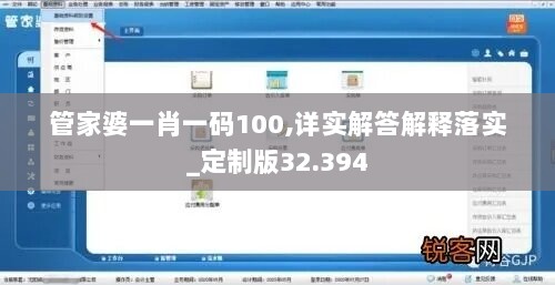 管家婆一肖一码100,详实解答解释落实_定制版32.394