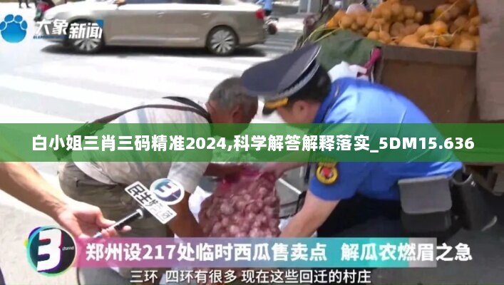 白小姐三肖三码精准2024,科学解答解释落实_5DM15.636