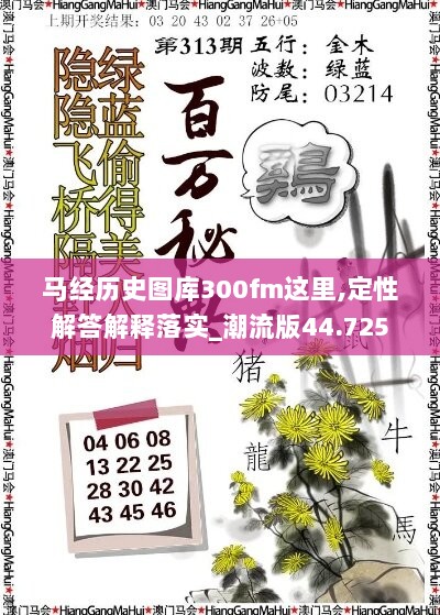 马经历史图库300fm这里,定性解答解释落实_潮流版44.725