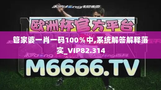 管家婆一肖一码100％中,系统解答解释落实_VIP82.314