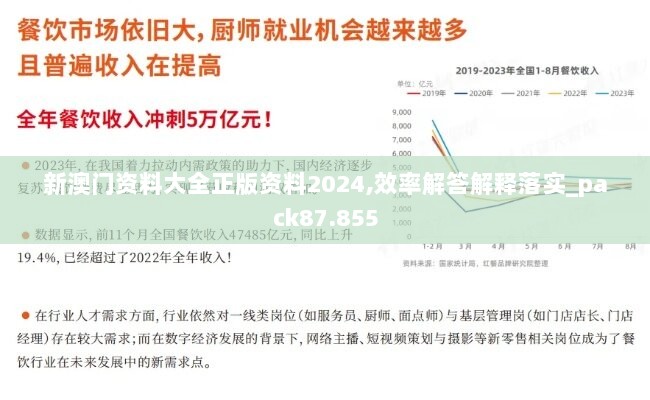 新澳门资料大全正版资料2024,效率解答解释落实_pack87.855