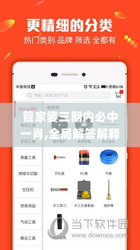 管家婆三期内必中一肖,全局解答解释落实_iPad76.905