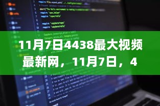 11月7日，4438最大视频最新网的崛起与深远影响