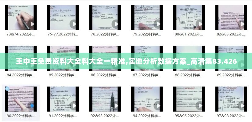 王中王免费资料大全料大全一精准,实地分析数据方案_高清集83.426