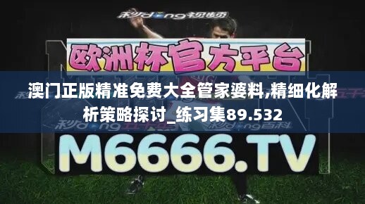 澳门正版精准免费大全管家婆料,精细化解析策略探讨_练习集89.532