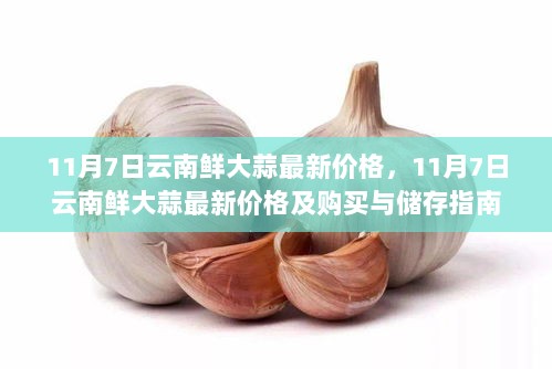 11月7日云南鲜大蒜价格及购买与储存指南