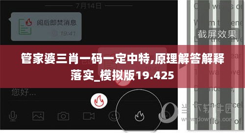 管家婆三肖一码一定中特,原理解答解释落实_模拟版19.425