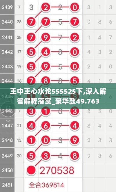 王中王心水论555525下,深入解答解释落实_豪华款49.763